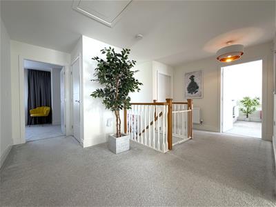 Picture 14